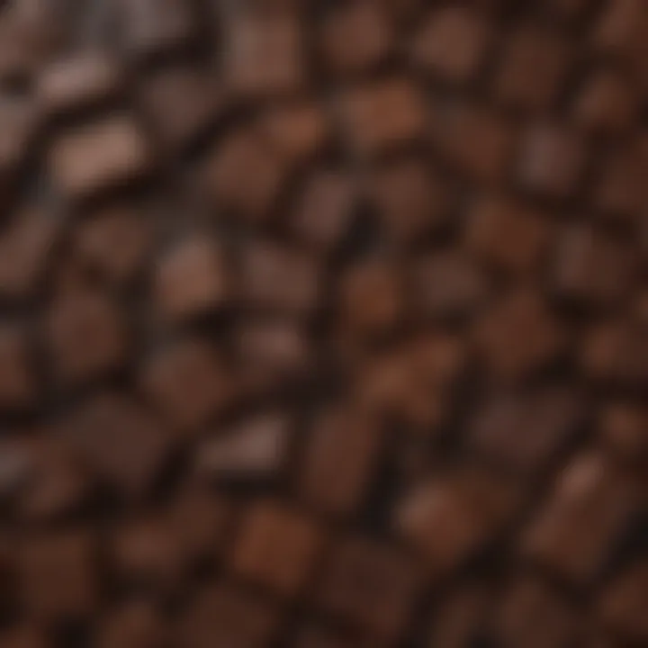 A close-up of rich dark chocolate bars showcasing various textures and cocoa percentages