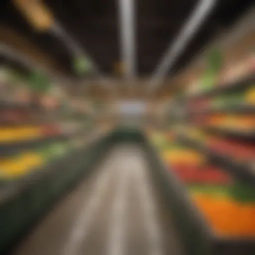 A colorful array of whole foods rich in fiber, including fruits and vegetables