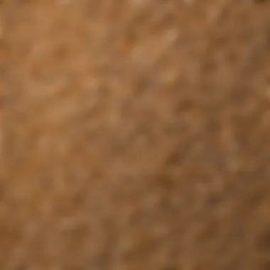 An array of gluten-free grains used for baking bread