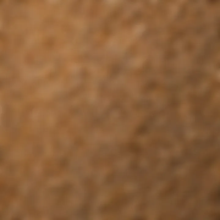 An array of gluten-free grains used for baking bread