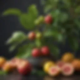 Natural monkfruit plant showcasing its vibrant green leaves and small fruits