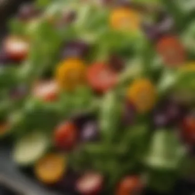 A close-up view of a colorful organic salad adorned with herbs