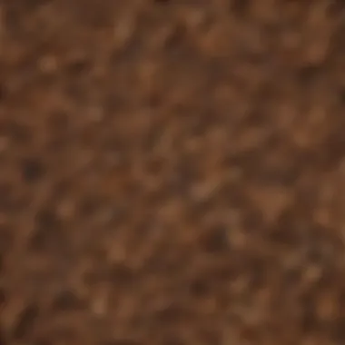 Diverse Woods: A Palette of Flavors for Smoking An array of different wood types used for smoking, emphasizing the unique flavors they impart.