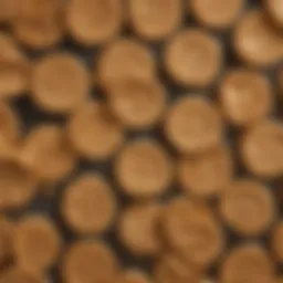 Close-up of sugar-free peanut butter baking chips showcasing their texture and color