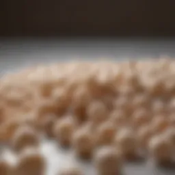 A close-up view of tapioca pearls showcasing their unique texture and translucence.
