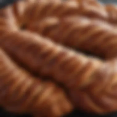 Close-up of the intricate braid of cinnamon babka