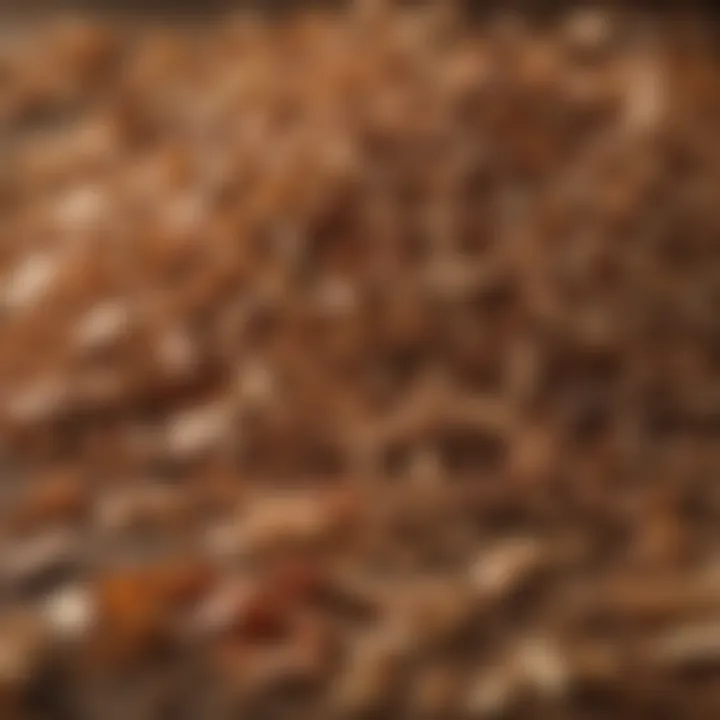 A close-up of flavorful wood chips used for enhancing smoke aroma.