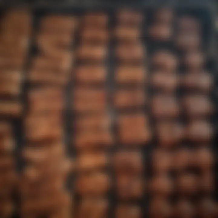 Comparison of various barbeque grill types arranged neatly