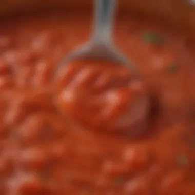 A close-up of a spoonful of tomato sauce showcasing its rich texture.