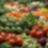 Fresh organic vegetables on display at Whole Foods