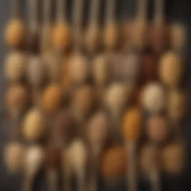 Variety of Whole Grains A variety of whole grains arranged aesthetically