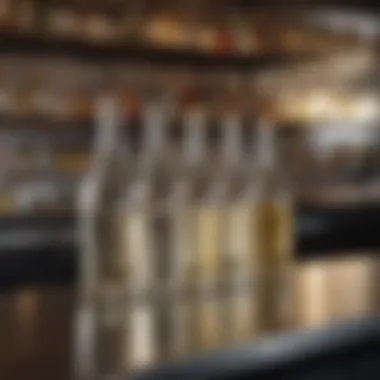 Synergy at the Bar An artistic display of prosecco and vodka bottles on a chic bar counter, highlighting their synergy.