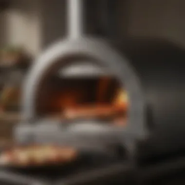 An innovative pizza oven showcasing advanced features