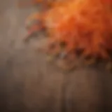 Vibrant strands of saffron on a wooden surface