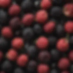 A vibrant close-up of fresh blackberries showcasing their rich color and texture