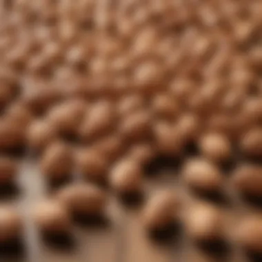 A close-up of almonds scattered on a wooden surface, showcasing their natural texture and color.