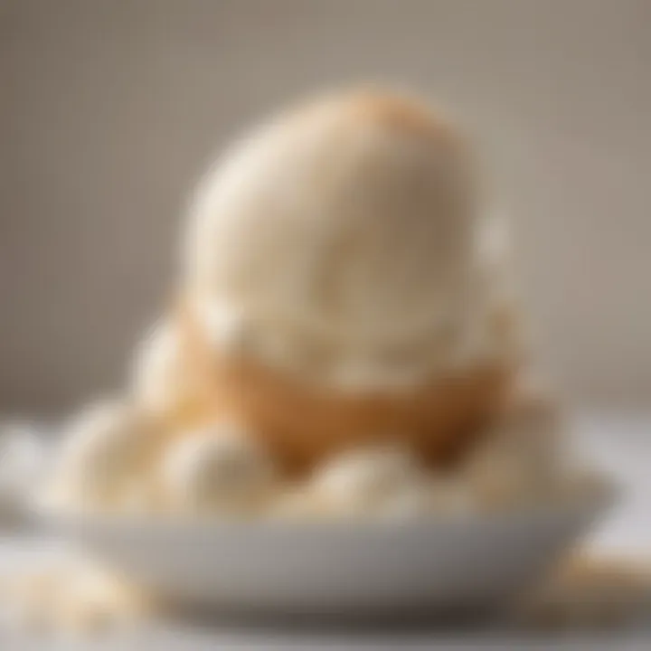 A close-up of a scoop of creamy coconut milk ice cream