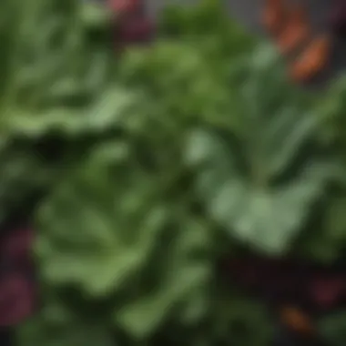 Nutrient-Dense Leafy Greens Close-up of leafy greens rich in nutrients