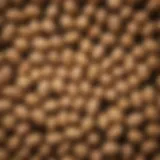 A close-up of small raw peanuts arranged artistically on a rustic wooden surface.