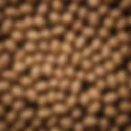 A close-up of small raw peanuts arranged artistically on a rustic wooden surface.