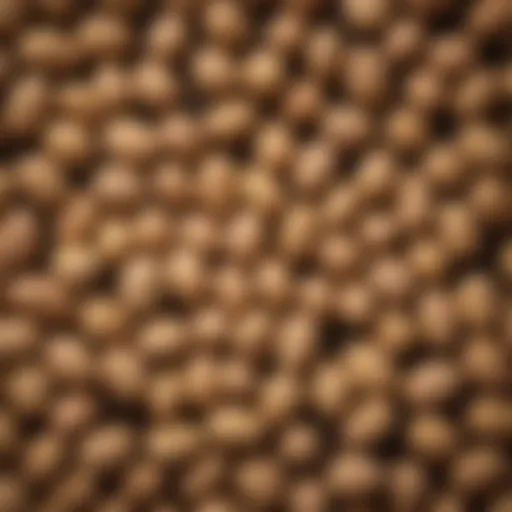 A close-up of small raw peanuts arranged artistically on a rustic wooden surface.