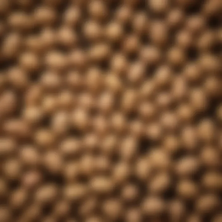 A close-up of small raw peanuts arranged artistically on a rustic wooden surface.