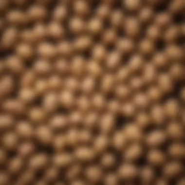 Artistic Arrangement of Small Raw Peanuts A close-up of small raw peanuts arranged artistically on a rustic wooden surface.