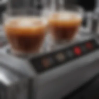 Digital Precision: The Heart of Quality Brewing Close-up of a digital temperature control display