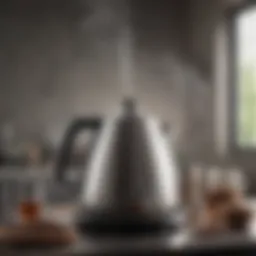 Elegant kettle with precise temperature settings