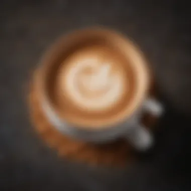 Diverse Premium Cappuccino Powder Mix Options A selection of premium cappuccino powder mix varieties