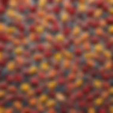 Nutritional Insights of Popular Fruit Snacks Nutritional labels showcasing values of various fruit snacks