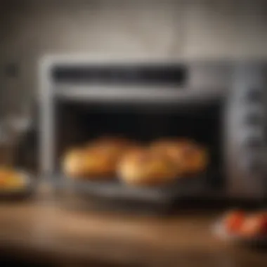 An array of gourmet dishes prepared using smart oven