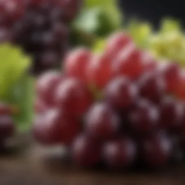 A close-up view of ripe grapes showcasing their texture and vibrant color.