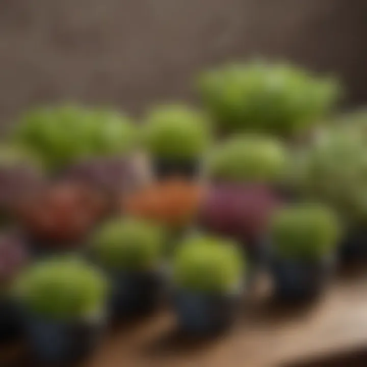 Different varieties of microgreens displayed in small pots, showcasing their unique colors and textures.