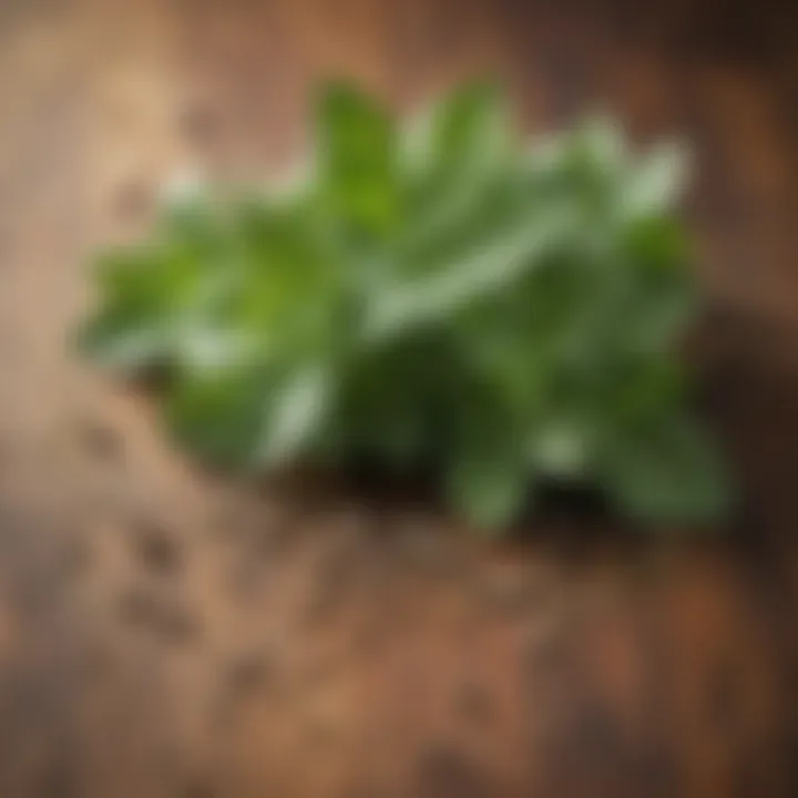 Dried oregano leaves on a wooden surface