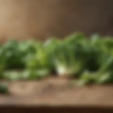 Greens: A Source of Protein and Vital Nutrients An array of green vegetables, illustrating their low calorie count and protein benefits.