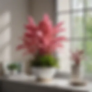 An arrangement of various houseplants with distinctive pink stems in a modern interior setting.