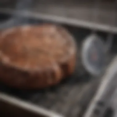 Thermometer measuring steak doneness
