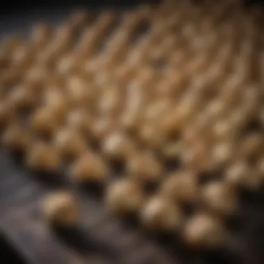 Dried garlic cloves arranged neatly on a drying rack