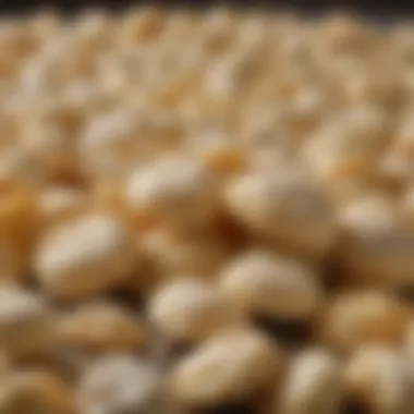 Oyster Crackers - A Closer Look A close-up view of oyster crackers spilling out of a packet.