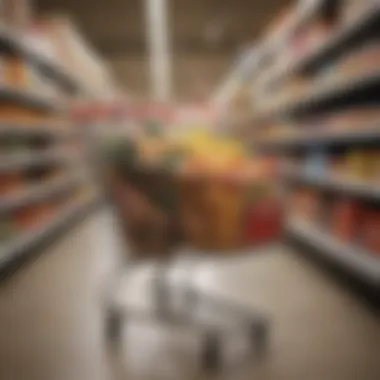 Shopping cart filled with budget-friendly grocery items