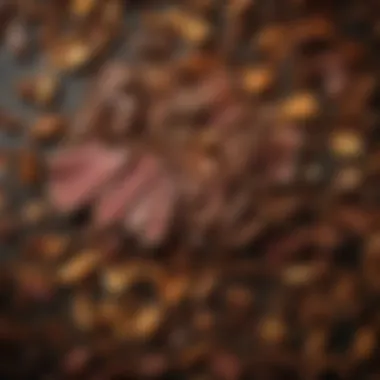 Vibrant array of wood chips used for smoking beef