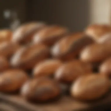 A Diverse Selection of Sourdough Bread Varieties Various types of sourdough bread displayed on a wooden table