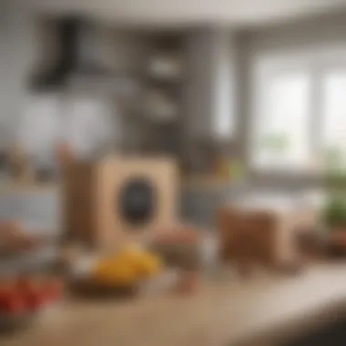 A modern kitchen with meal delivery packages on the counter