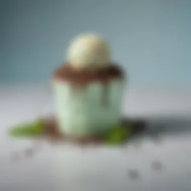 Artful Mint Indulgence An artistic presentation of mint-only ice cream garnished with chocolate shavings
