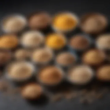 Whole Grains for Balanced Nutrition An assortment of whole grains displayed in bowls emphasizing balanced nutrition