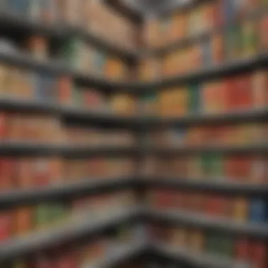 Creative Storage Designs Diverse design options for canned food storage systems