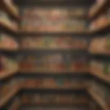 Well-organized pantry showcasing canned food storage