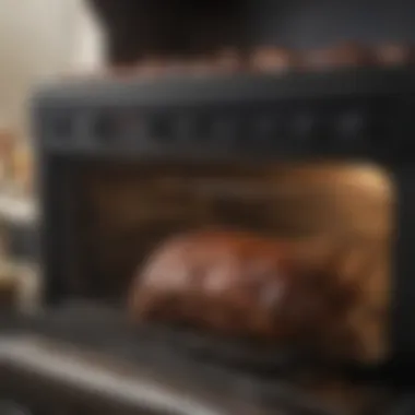 Oven Ready for Barbeque Ribs Oven setup with ribs and ingredients