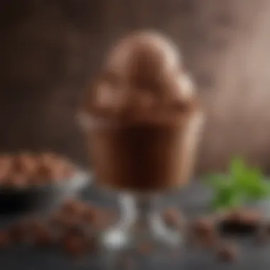 Visually Appealing Diet Chocolate Ice Cream Presentation A visually appealing presentation of diet chocolate ice cream with garnishes